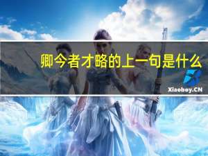 卿今者才略的上一句是什么