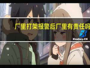 厂里打架报警后厂里有责任吗