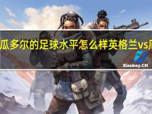 厄瓜多尔的足球水平怎么样 英格兰vs厄瓜多尔