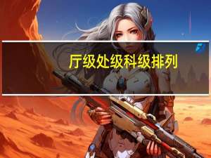 厅级 处级 科级 排列