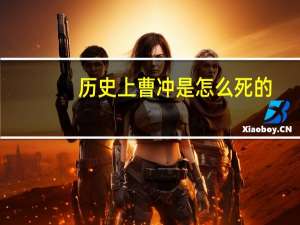 历史上曹冲是怎么死的
