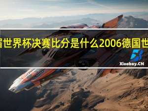 历届世界杯决赛比分是什么 2006德国世界杯决赛