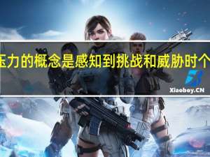 压力的概念是感知到挑战和威胁时个体用于（压力的概念）