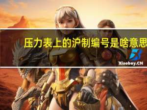 压力表上的沪制编号是啥意思