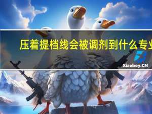 压着提档线会被调剂到什么专业