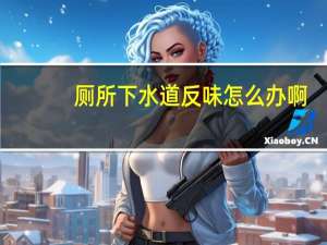 厕所下水道反味怎么办啊（厕所下水道反味怎么办）