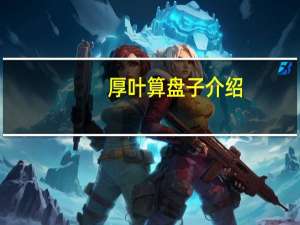 厚叶算盘子介绍