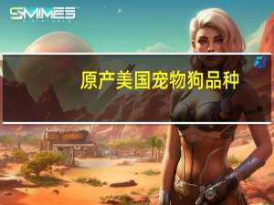 原产美国宠物狗品种