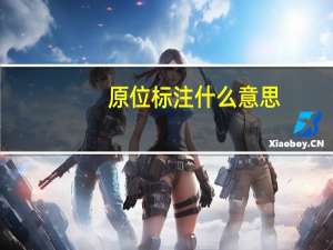 原位标注什么意思