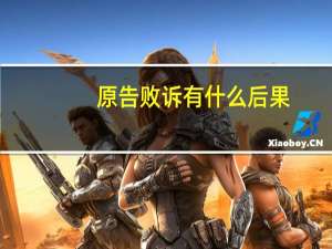 原告败诉有什么后果