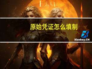 原始凭证怎么填制
