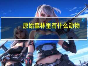 原始森林里有什么动物