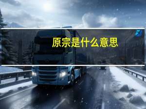 原宗是什么意思