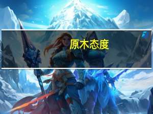 原木态度