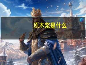 原木浆是什么