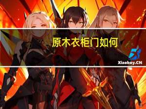 原木衣柜门如何