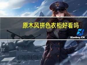 原木风拼色衣柜好看吗