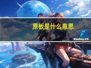 原板是什么意思