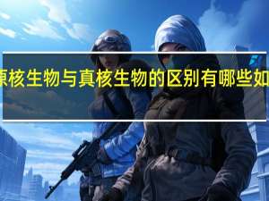 原核生物与真核生物的区别有哪些 如何区分