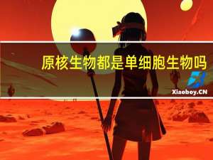 原核生物都是单细胞生物吗