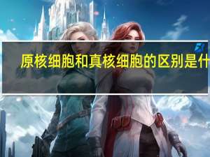 原核细胞和真核细胞的区别是什么