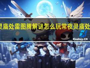原神常夜灵庙处雷图腾解谜怎么玩 常夜灵庙处雷图腾解谜攻略