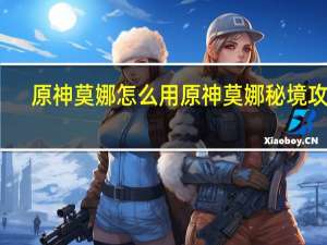 原神莫娜怎么用 原神莫娜秘境攻略