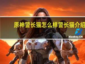 原神警长猫怎么样 警长猫介绍