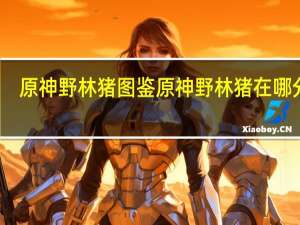 原神野林猪图鉴 原神野林猪在哪分布