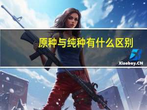 原种与纯种有什么区别