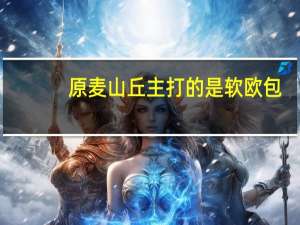 原麦山丘主打的是软欧包,问下软欧包跟传统的面包有什么区别呢