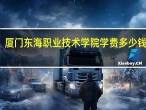 厦门东海职业技术学院学费多少钱一年