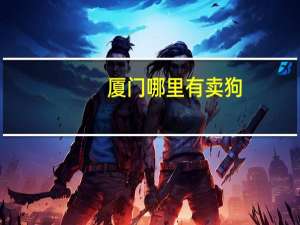 厦门哪里有卖狗