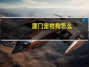 厦门宠物狗怎么
