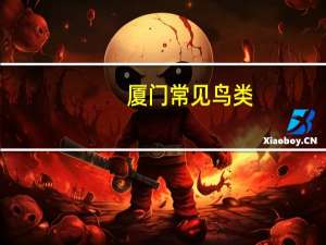 厦门常见鸟类