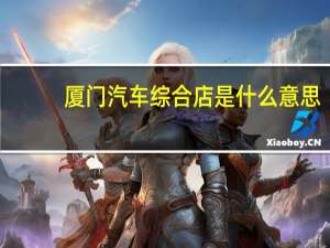 厦门汽车综合店是什么意思