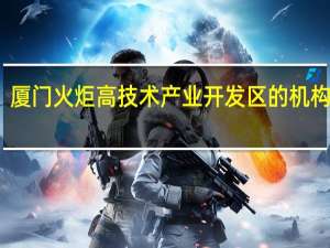 厦门火炬高技术产业开发区的机构设置