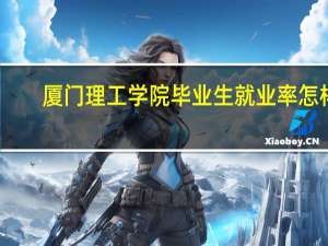 厦门理工学院毕业生就业率怎样