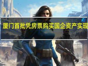 厦门首批凭房票购买国企资产实现交房
