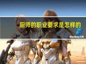 厨师的职业要求是怎样的