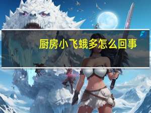 厨房小飞蛾多怎么回事
