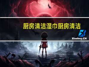 厨房清洁湿巾 厨房清洁