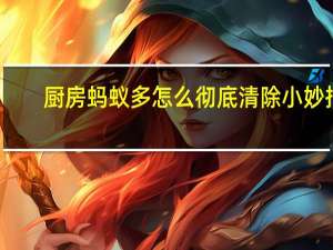 厨房蚂蚁多怎么彻底清除小妙招