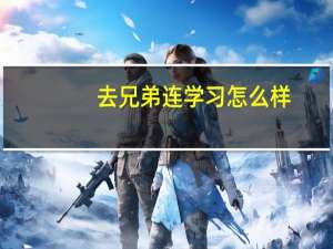 去兄弟连学习怎么样
