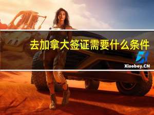 去加拿大签证需要什么条件