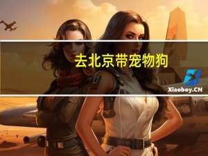 去北京带宠物狗