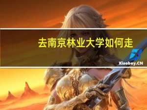 去南京林业大学如何走