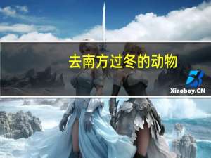 去南方过冬的动物