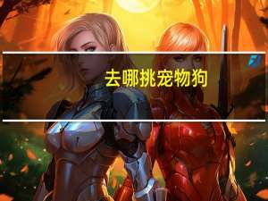 去哪挑宠物狗
