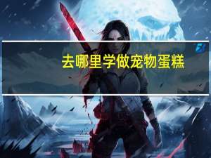 去哪里学做宠物蛋糕